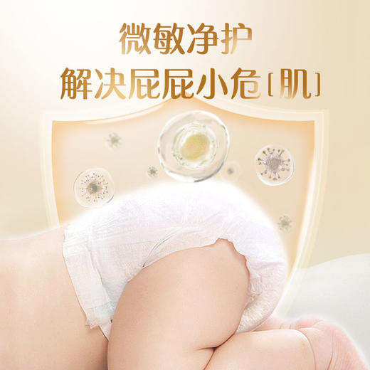 贝因美小屁孩Pro纸尿裤新生儿婴儿宝宝干爽透气超薄小内裤尿不湿 商品图1
