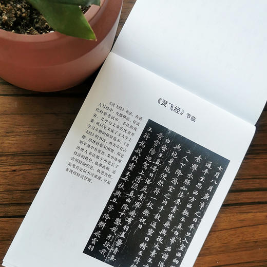 钢笔字临帖系列 乐毅论 黄庭经 灵飞经 商品图1