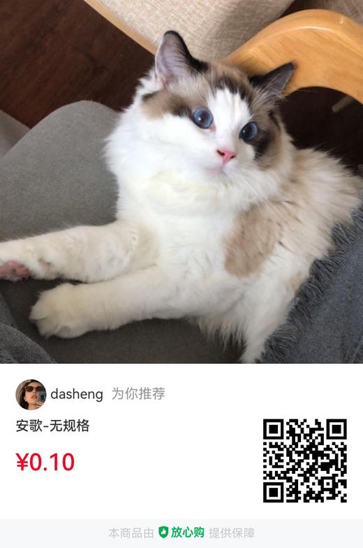 知识付费222视频 商品图0