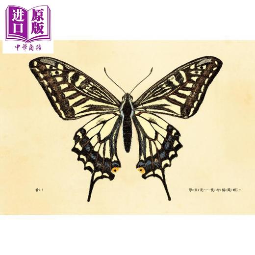 【中商原版】毛毛虫变身了 日本学校图书馆协会年度绘本50选书 首刷限量赠品 昆虫观察日志 全彩折叠海报 港台原版 儿童绘本 商品图4