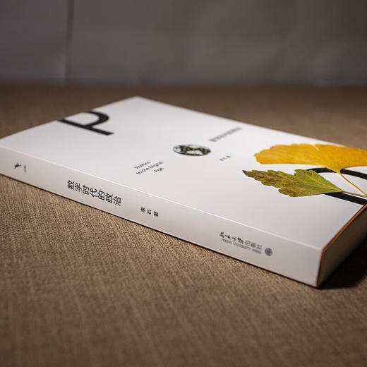 数字时代的政治 李石 著 政治 商品图1