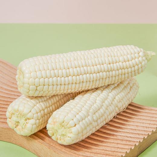 福建漳州  牛奶水果玉米 商品图2