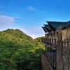 3天2晚【康藤·高黎贡帐篷营地】暑期专属！感受树梢上的自然野奢栖居地，含入住期间三餐美食、营地下午茶、高黎贡山徒步、手作体验等，邀你赴一场大自然之约！ 商品缩略图2