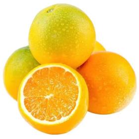 夏橙（约500G） /份