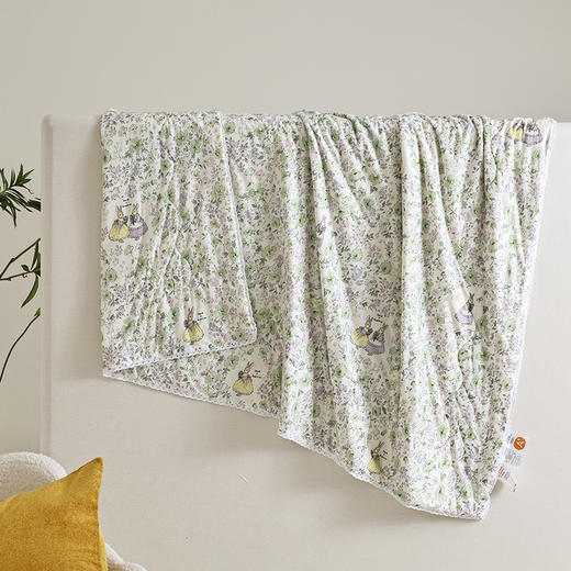 【超柔软糯】A类牛奶丝针织棉大豆夏被超柔软糯可水洗活性印花夏凉被 商品图9