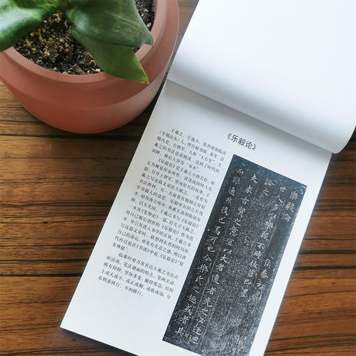 钢笔字临帖系列 乐毅论 黄庭经 灵飞经 商品图2