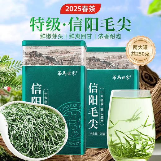 信阳毛尖茶叶2025新茶官方旗舰店正品明前特级嫩芽浓香绿茶礼盒装 商品图0