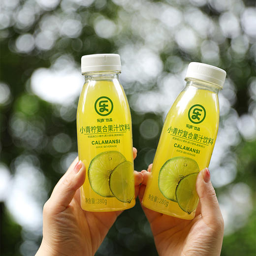 乐源 小青柠复合果汁饮料洁净版280g*9 商品图3