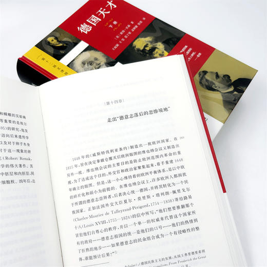 德国天才:近现代德意志的思想、科技和文化(上下册)〔英〕彼得·沃森 著 张弢 等译 商务印书馆 商品图10