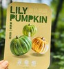 叁色栗栗南瓜|这款会变色的魔法南瓜，上榜《熊猫指南》中国优质农产品榜单纯天然种植，一颗南瓜随时间变化呈现三种色彩、三种风味(墨绿高粉、灰绿粉甜、橙红甜糯)。口感粉糯香甜，一口惊艳~ 商品缩略图5