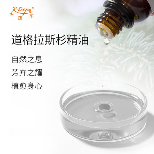 道格拉斯杉精油 单方精油原料批发芳疗护理香氛香薰 大篷车精油 商品图1