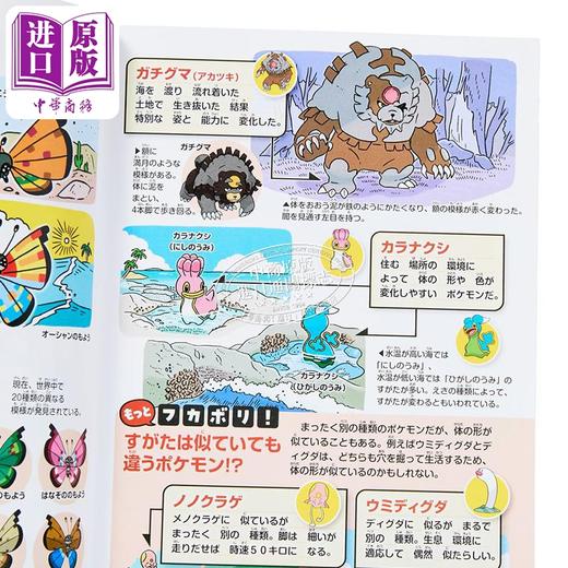 【中商原版】宝可梦生态图鉴 精灵宝可梦 口袋妖怪 日文原版日韩 ポケモン生態図鑑 商品图8
