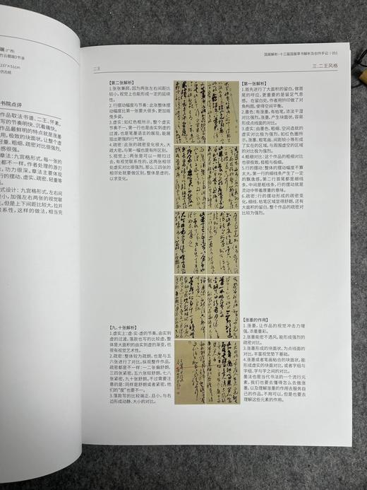 【国展内参-全国第十三届书法篆刻展草书解析与创作手记】 商品图7