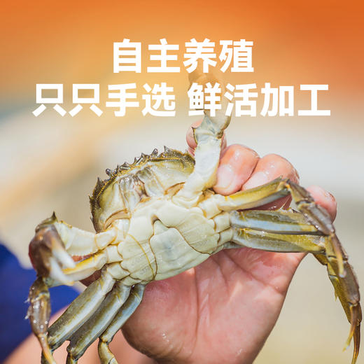 【2两六月黄全公醉蟹   限时特价】新孟河全公六月黄醉蟹    600g/盒   4只/盒   1.7-2.1两/只   流心蟹黄   顺丰速运 商品图2
