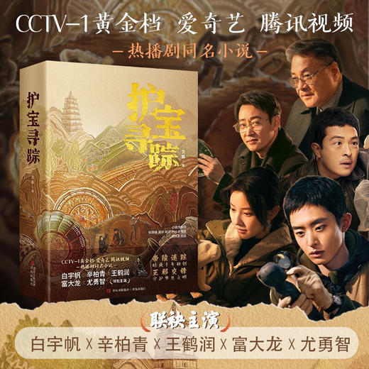 护宝寻踪 灵羲 著 小说 商品图0