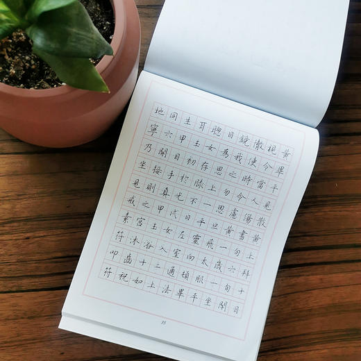 钢笔字临帖系列 乐毅论 黄庭经 灵飞经 商品图3