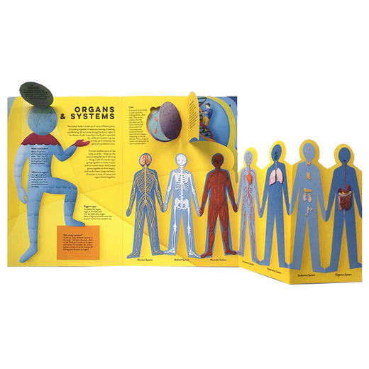 Paper World纸艺世界科普翻翻书 商品图4