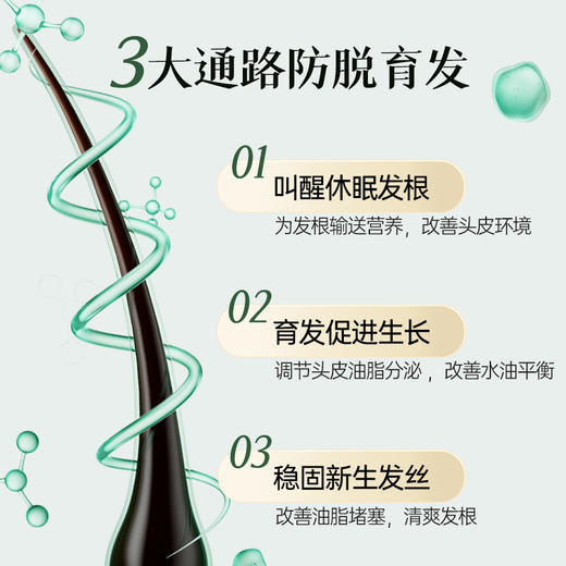 荷馨防脱育发洗发露150ml 商品图5