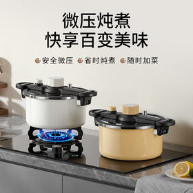 【钛+珐琅 双核科技】德世朗钛珐琅微压炖锅  智能微压系统 快炖锁鲜两不误