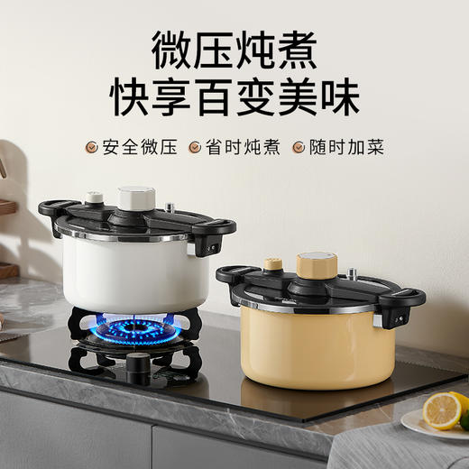 【钛+珐琅 双核科技】德世朗钛珐琅微压炖锅  智能微压系统 快炖锁鲜两不误 商品图0