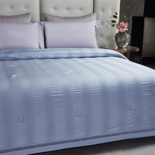 【维科家纺】天丝鎏金水光夏凉被 商品图2