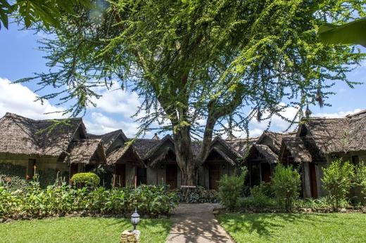 小地球坦桑尼亚北部迁徙酒店甄选 商品图4