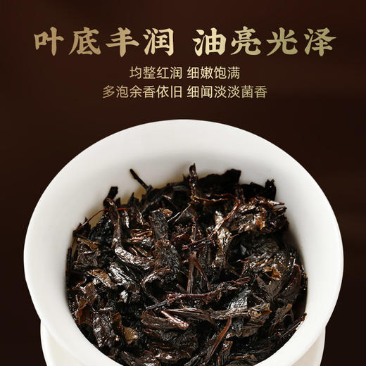 茶马世家安化黑茶官方旗舰店正品湖南茯茶手筑金花茯砖480g 商品图5