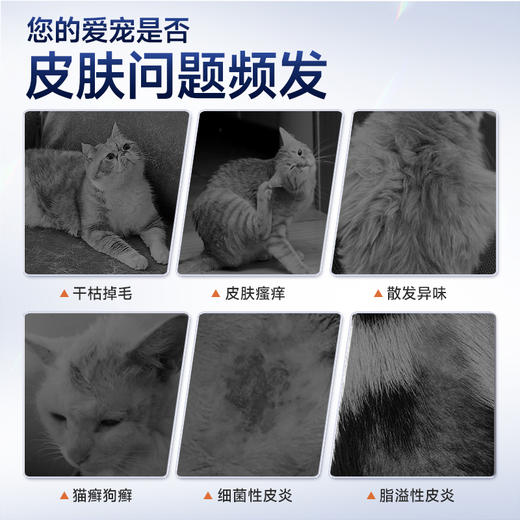 澳龙喜呗澳龙药浴洗液宠物狗黑下巴皮肤病狗癣真菌香波沐浴露 商品图2