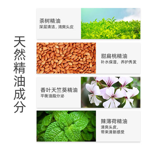 薇妮芮 迷迭香精油强韧发质洗发水 露滋润蓬松塌软发质无硅油 商品图3