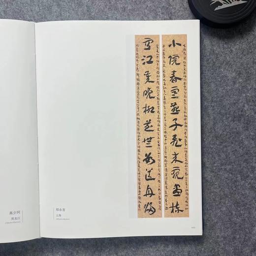 全国第九届楹联书法作品展览作品集 商品图5