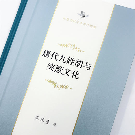 唐代九姓胡与突厥文化(中华当代学术著作辑要) 商品图9