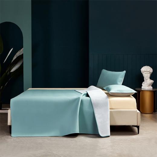 【维科家纺】玉柔A类抗菌头层牛皮席-晴空蓝 商品图1