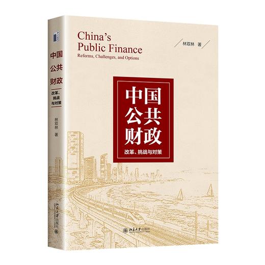 中国公共财政：改革、挑战与对策 林双林 著 北京大学出版社 商品图0