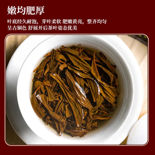 雀牌·露华春.满堂红.正山小种礼盒192g 商品图4
