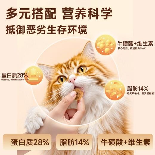 流浪猫猫粮 | 爱心救助粮 | 鲜鸡肉配方 | 高能抗饿 商品图3