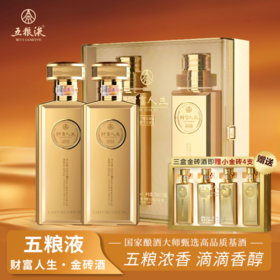 【GJ链接请勿用!!!】【五粮液财富人生金砖酒】52度浓香型白酒，匠心勾调，酒香温和，品质稳定，雍容饱满，回味悠长。