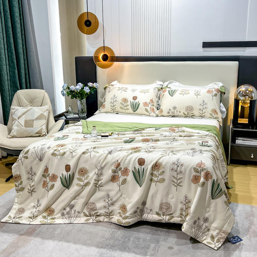 【维科家纺】莱赛尔印花抑菌夏凉被-语薇 商品图2