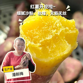 生态红薯（小香薯，中通快递）| 合作生产*Ecological Sweet potato | Partner Production