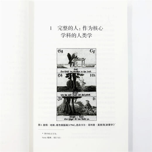 文学人类学：人的新发现(人类学视野译丛) 商品图11