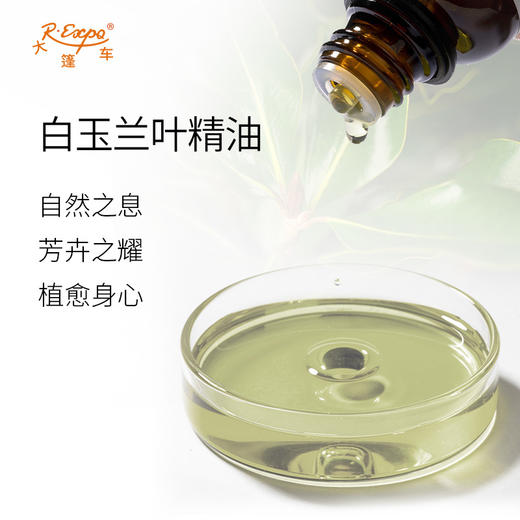 白玉兰叶精油 法国进口单方精油原料批发芳疗护理调香 大篷车精油 商品图1