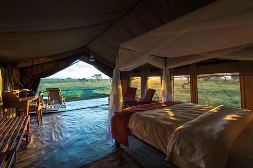 小地球坦桑尼亚北部迁徙酒店甄选 商品图2