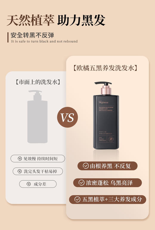 【Orginese-何首乌人参净澈头皮毛囊洗发水】草本配方十现代科技，滋养黑发根 温和不伤头皮，-瓶下去 洗出乌黑发深层滋养不用染发 商品图2