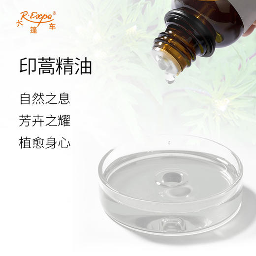 印蒿精油 印度单方精油原料批发芳疗护理香氛调香香薰 大篷车精油 商品图1