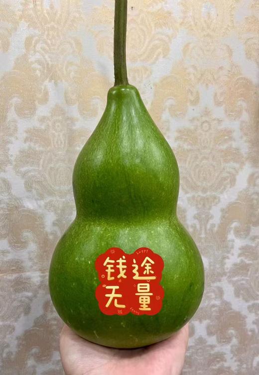 同城甄选精品花材葫芦1支 商品图1