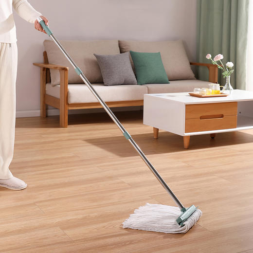 【批发】美丽雅500地拖/邮购箱 商品图3