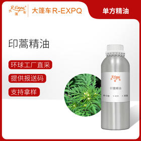 印蒿精油 印度单方精油原料批发芳疗护理香氛调香香薰 大篷车精油