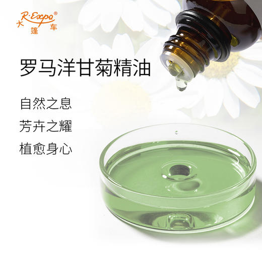 罗马洋甘菊精油 英国单方精油原料批发芳疗护理调香 大篷车精油 商品图1