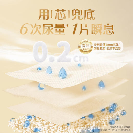 贝因美小屁孩Pro纸尿裤新生儿婴儿宝宝干爽透气超薄小内裤尿不湿 商品图5