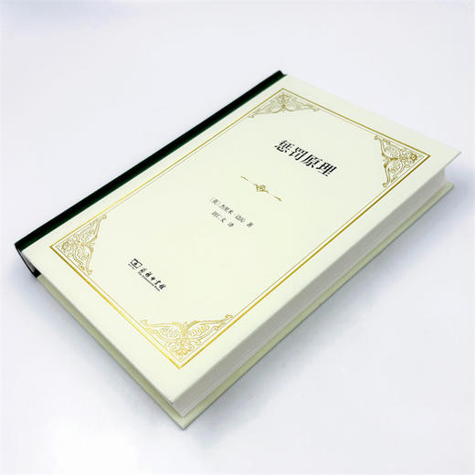 惩罚原理(精装) 商品图4