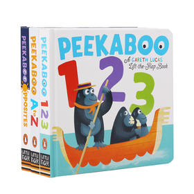 Peekaboo 数字、字母、反义词3册